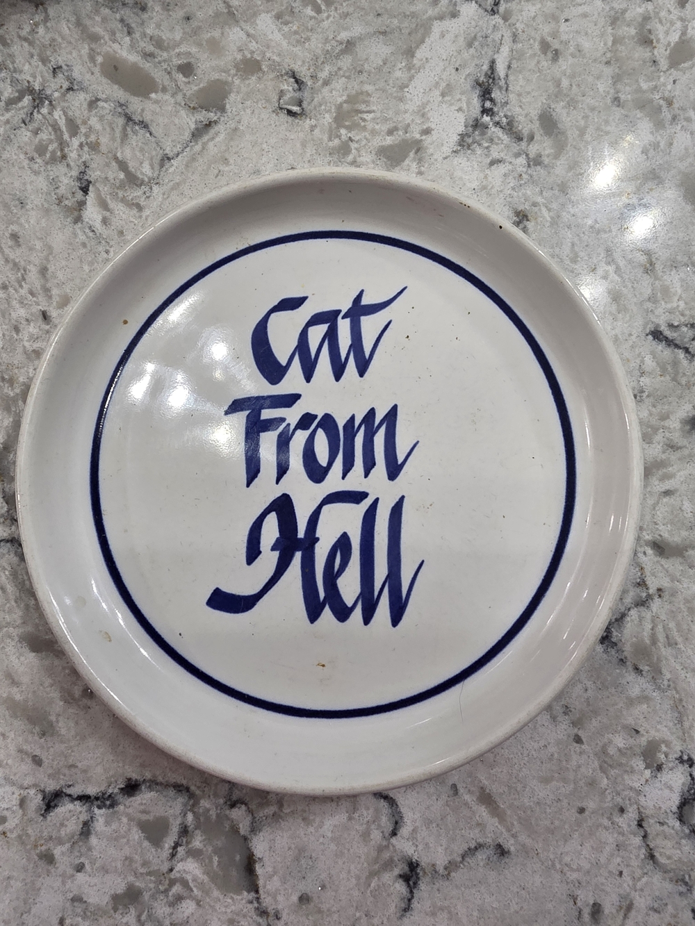 Cat From Hell White Ceramic Cat Bowl with Navy Accent